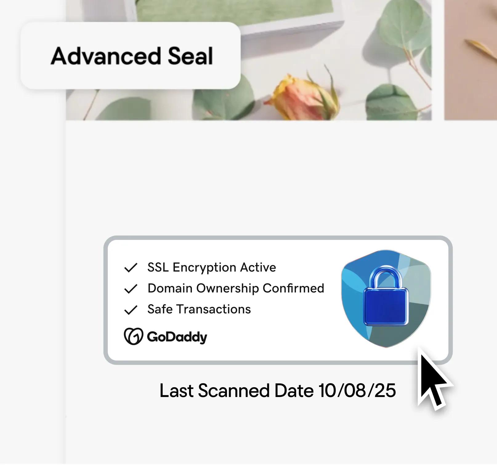 godaddy-trust-seal-encryption-validation