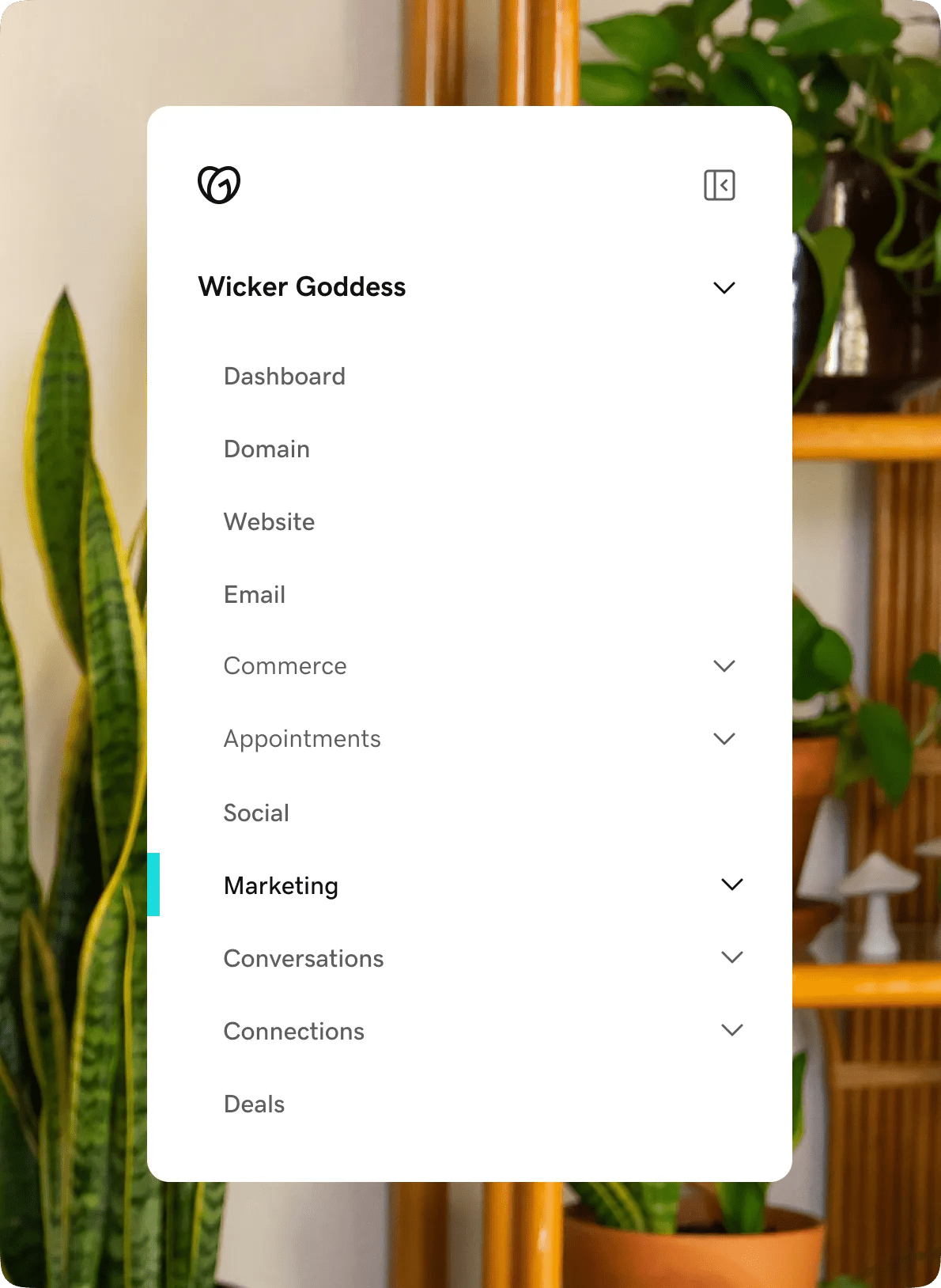 feat-wm-DMS-one-platform