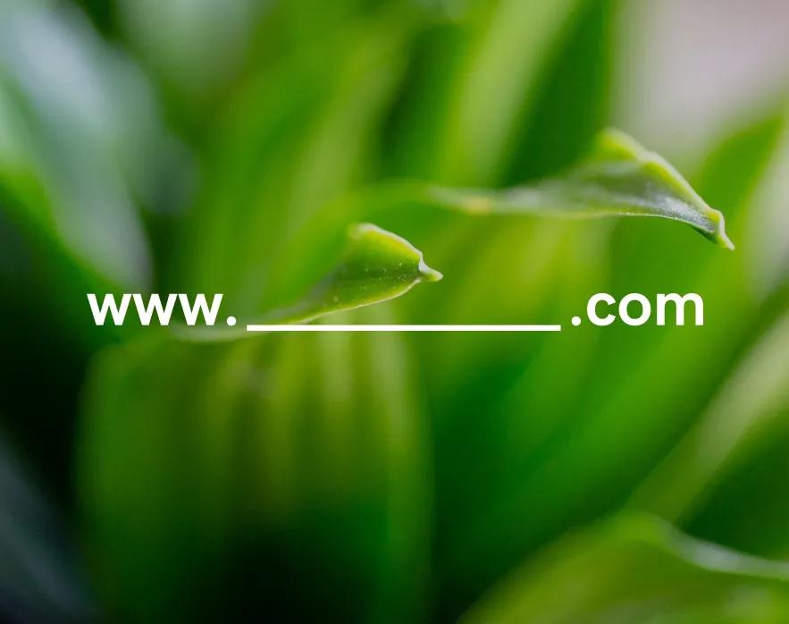 img-feat-real_estate