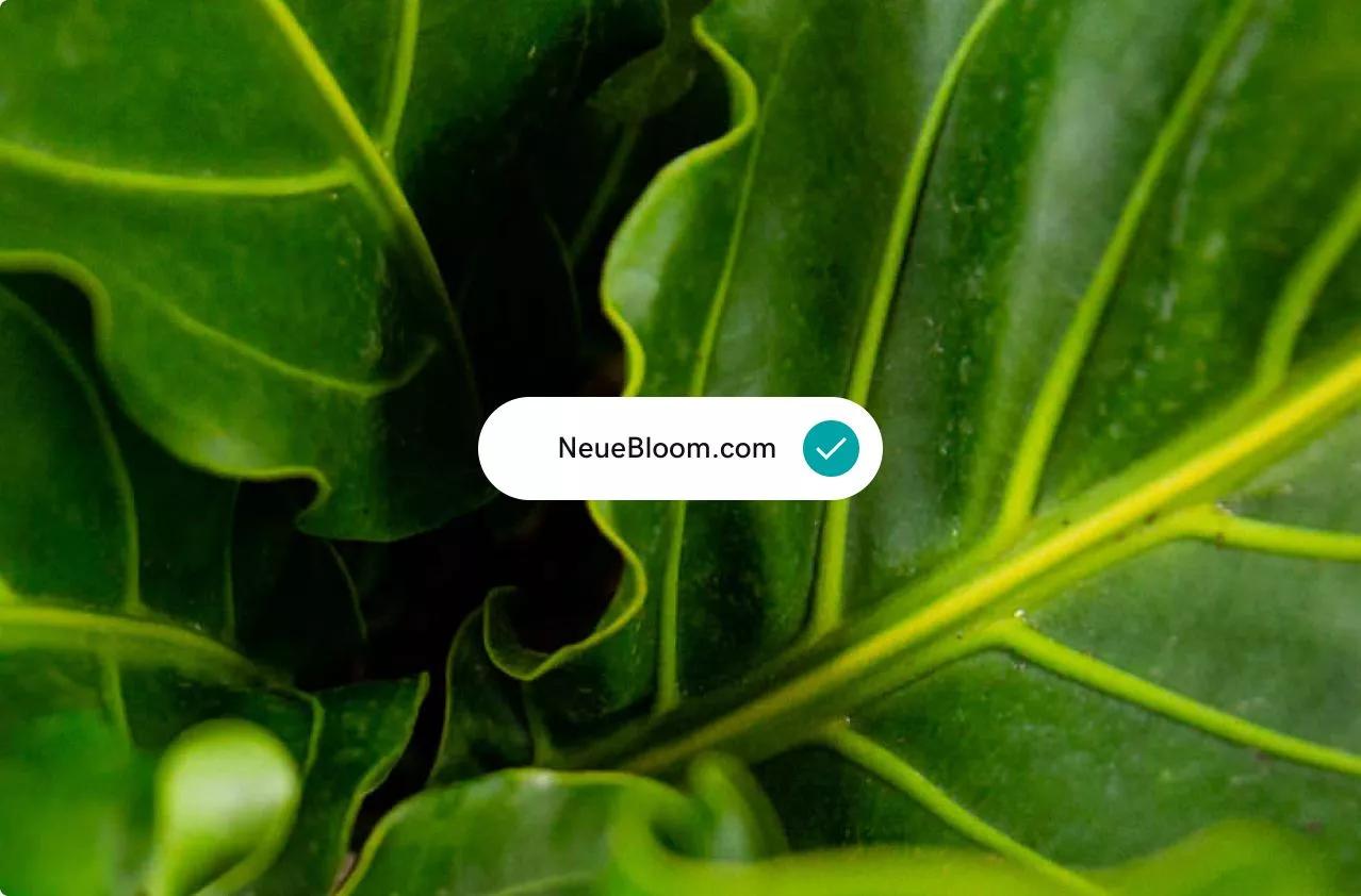 img how it works step 3