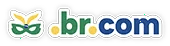 br com logo primary