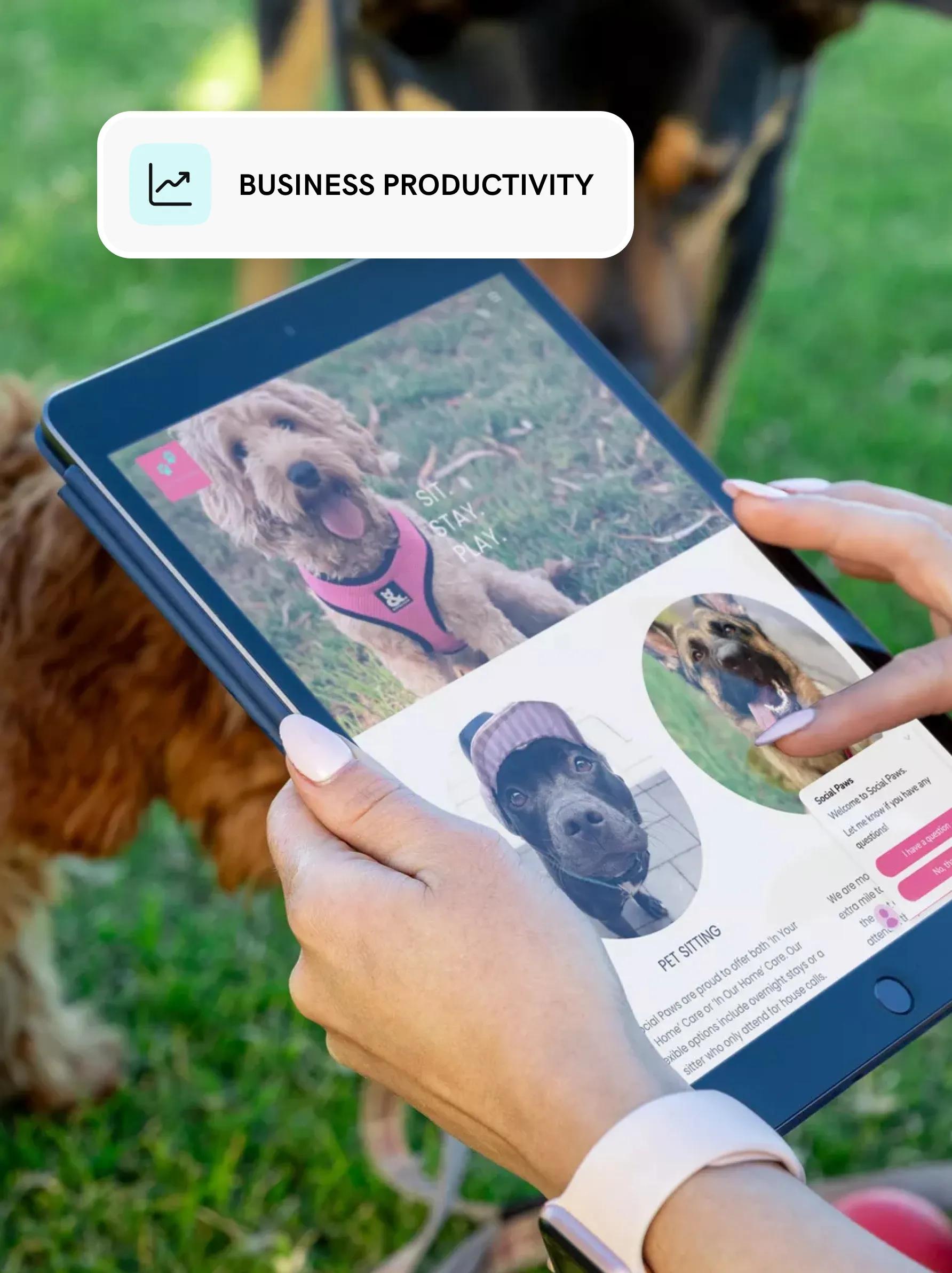 norton-cybersecurity-tools-small-business-godaddy