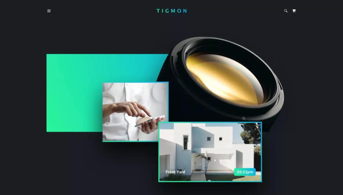 tigmon_desktop_1x