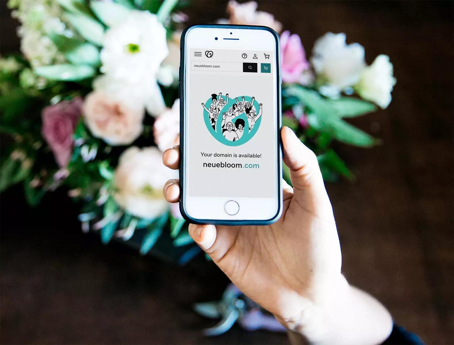 img feat domain availability NE