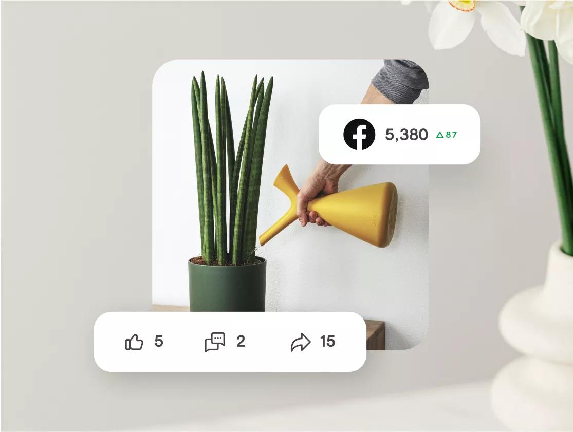 intl img ols facebook