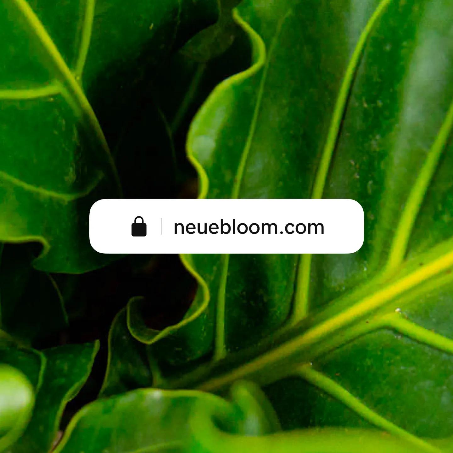 godaddy-domain-names-websites-hosting