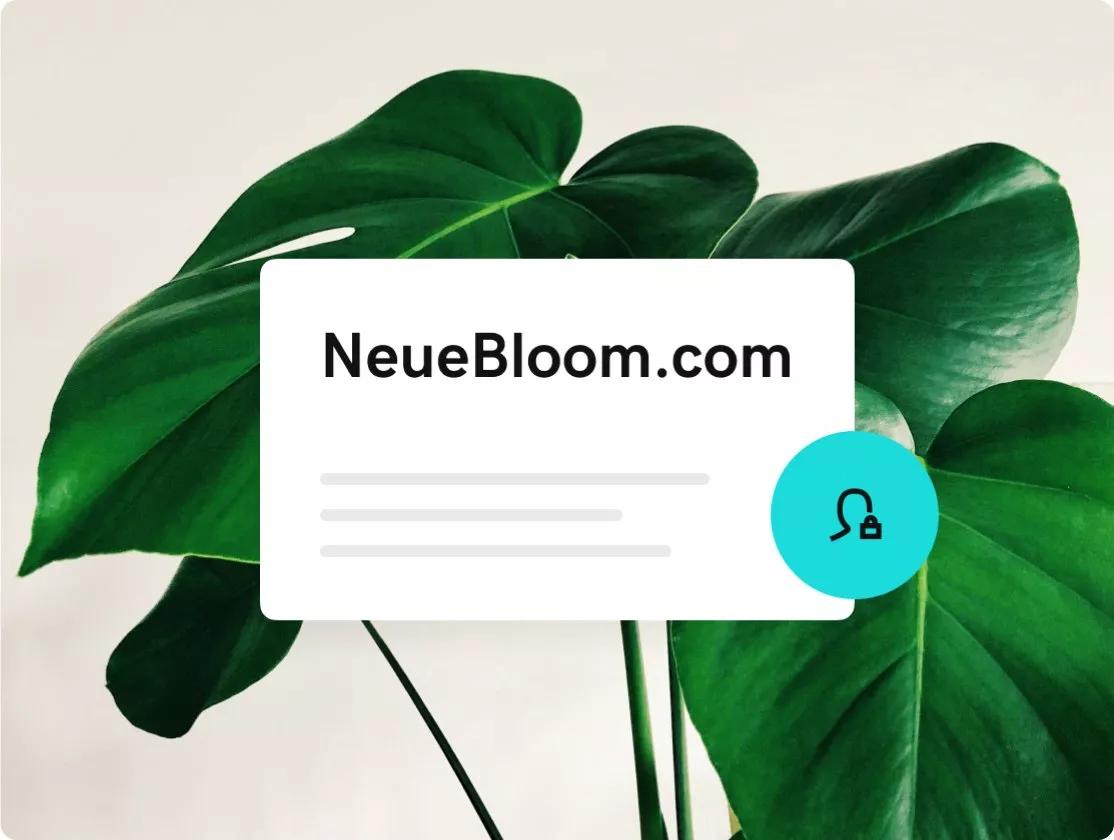 img multi column peace of mind NE