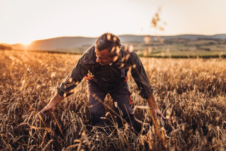 AI Mistakes Horticulturists Should Avoid in Australia (2026)