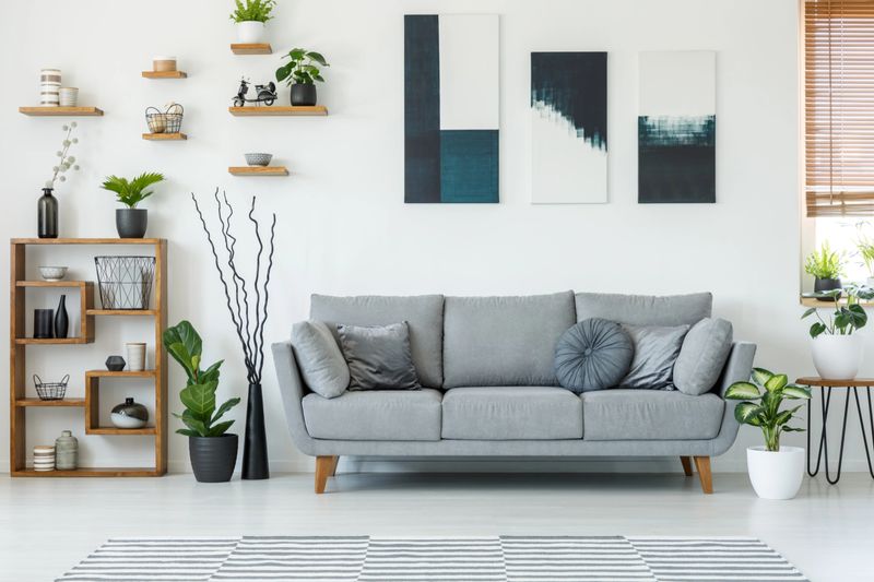 Real photo of an elegant living room interior with a comfy couch, paintings and shelves
