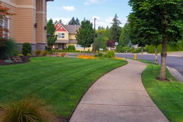 Complete full Landscaper/ attention to detail.