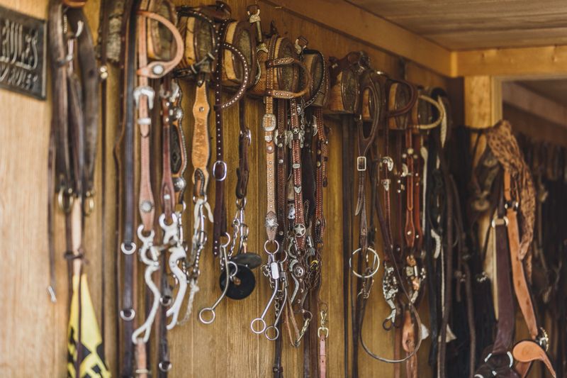 High quality stock photo of a bridles and horse tack hanging on a wall.