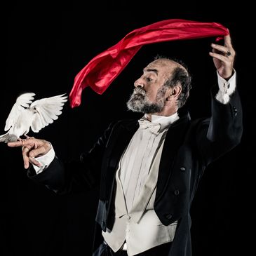 Magician with a red scarf and white dove.