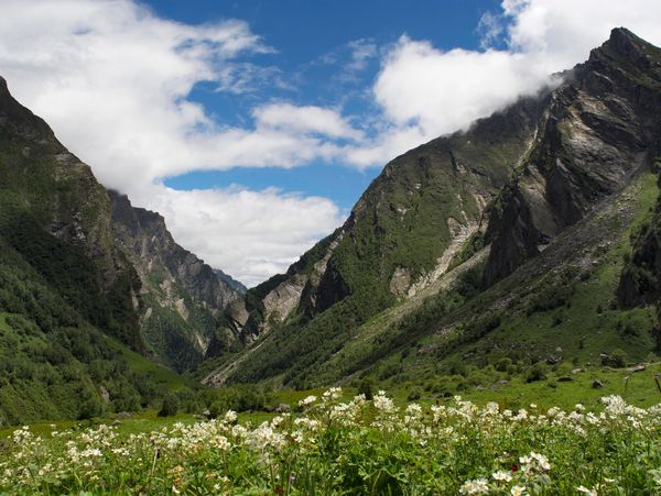 vally of flower
