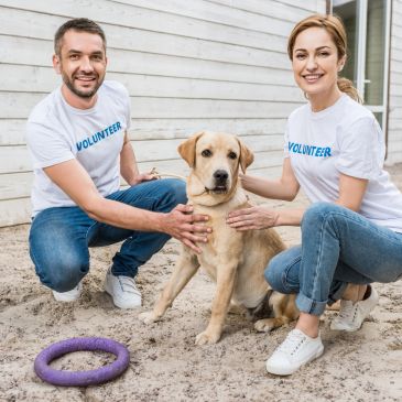 Dos voluntarios con un perro en un refugio.