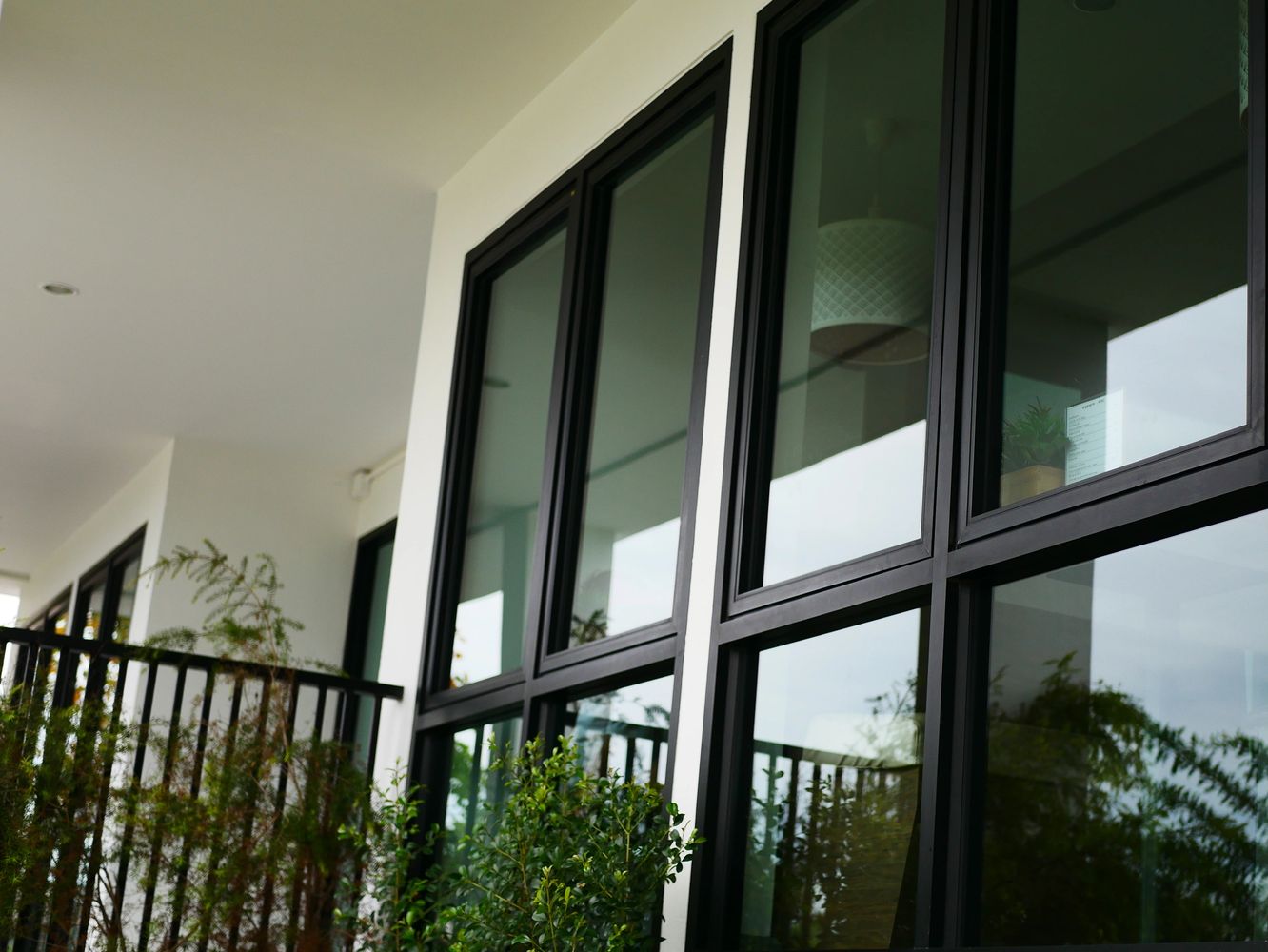 Modern black-framed windows with green plants outside on a white building.