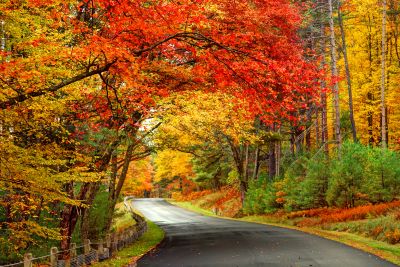 Winding road surrounded by vibrant autumn foliage.