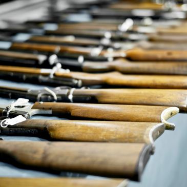 Rows of wooden-stocked rifles lined up on a table.