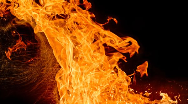 Orange flames forming the shape of a phoenix, symbolizing transformation, renewal, strength, and personal growth.