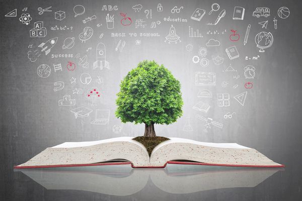 A tree growing from an open book surrounded by educational icons.