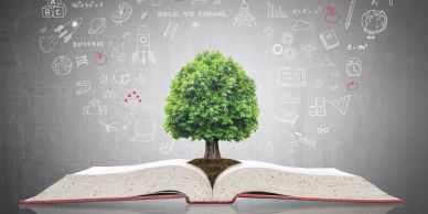 A tree growing from an open book with education icons in the background.