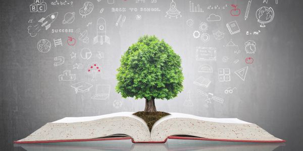 A tree grows from an open book with educational icons around.