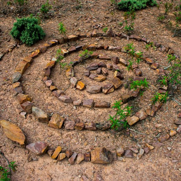 A spiral pattern made of rocks on soil with small plants growing around.