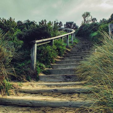 stairs surrounded by vegetation