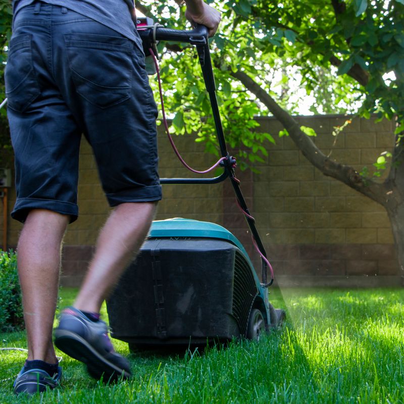 Lawn mower cutting green grass in backyard.Gardening background.