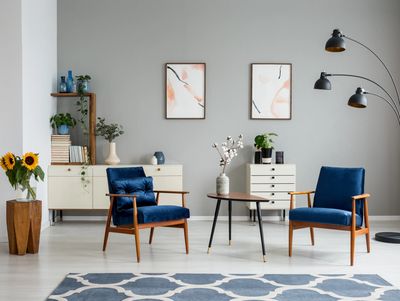 home organizer near me, life coach near me, top rated home organizer, top 10 castle rock organizers