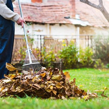 raking leaves