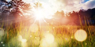 Awaken your intuition with the morning sun and inner light