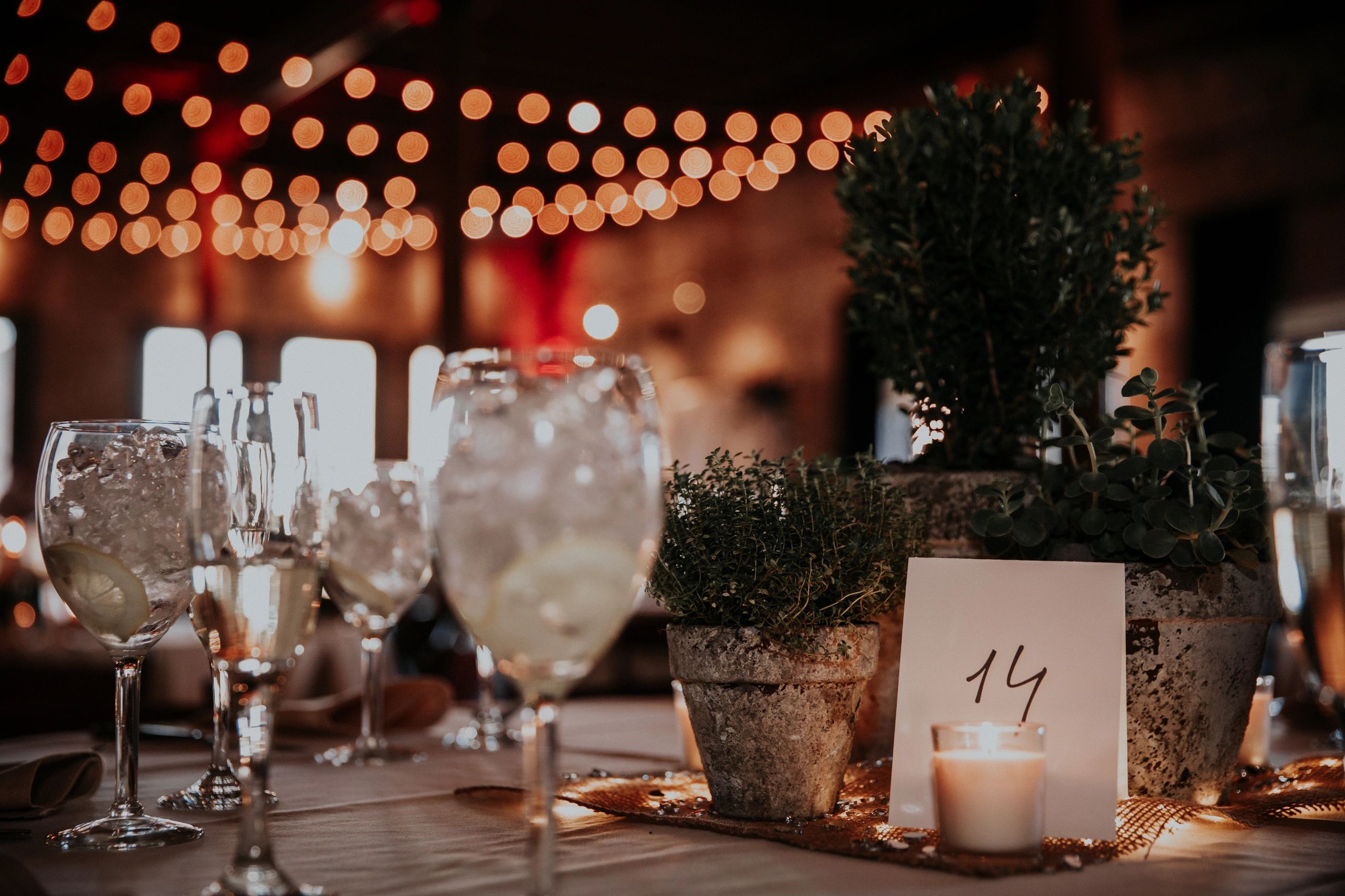 Elegant table setting with ice-filled glasses, potted plants, and warm string lights.
