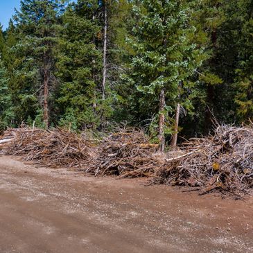 Piles of branches and logs stacked along a forest dirt road.