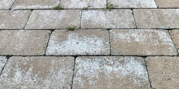 Close-up of weathered stone pavers with patches of moss and grass.