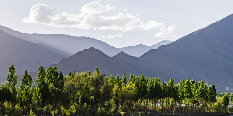 Lush green trees with layered blue mountains under a cloudy sky.