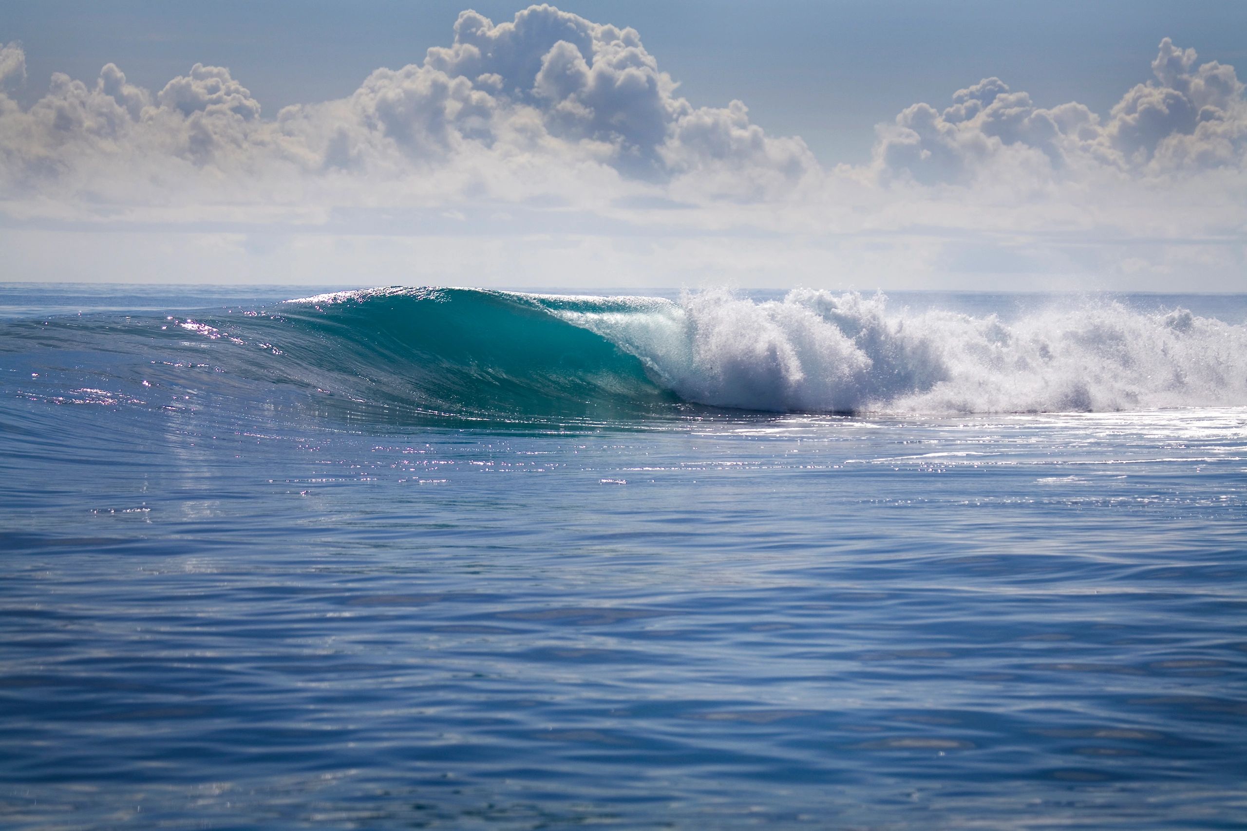Surf Pix