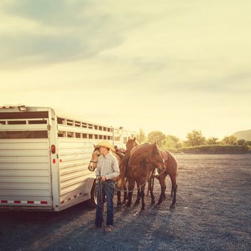 Cowboy leading horses from a trailer at sunset.