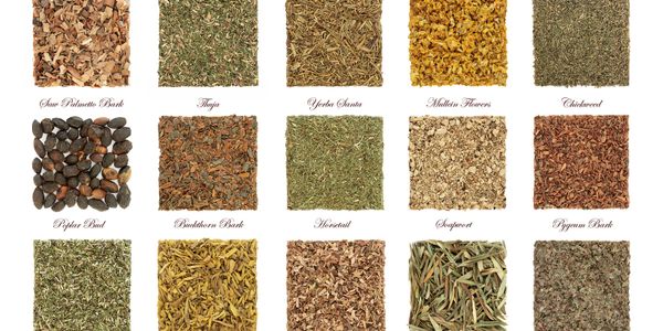 Various dried herbs and barks labeled with their names.