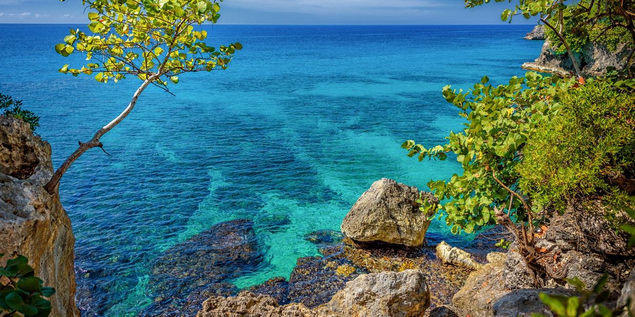 Crystal clear turquoise sea with rocks and trees.