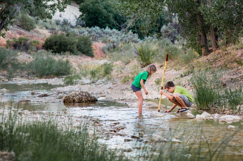 A caucasian boy and girl wade into a shallow river to play and search fish.