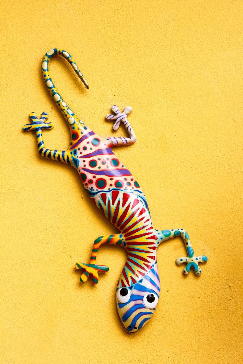 ornamental  lizard hanging on wall