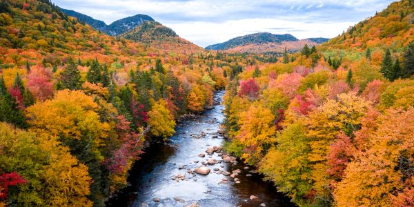 A river flowing through a colorful autumn forest.