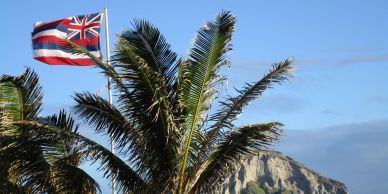 Hawaiian flag waving near palm trees and a mountain.
