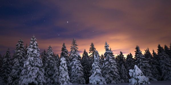 new moon magic spells