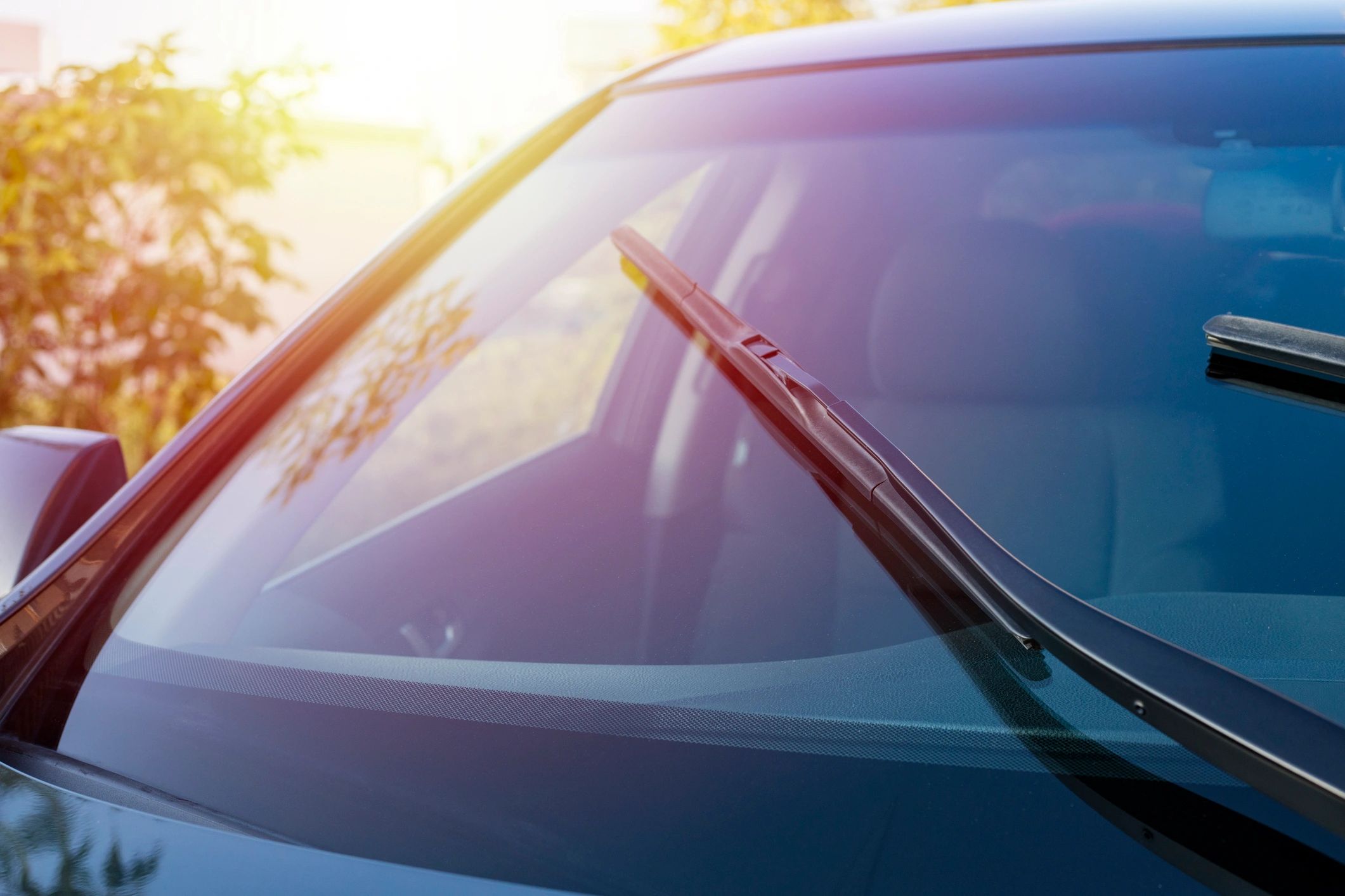 UV Window Film \u0026 Tint