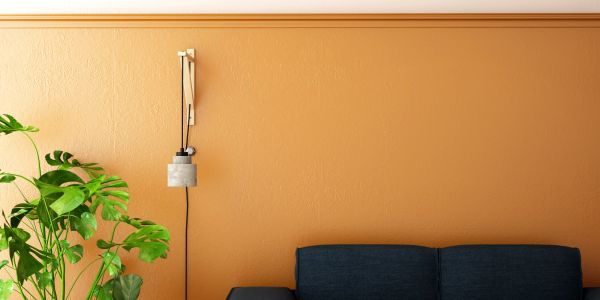 Minimalist living room corner with plant and wall lamp.