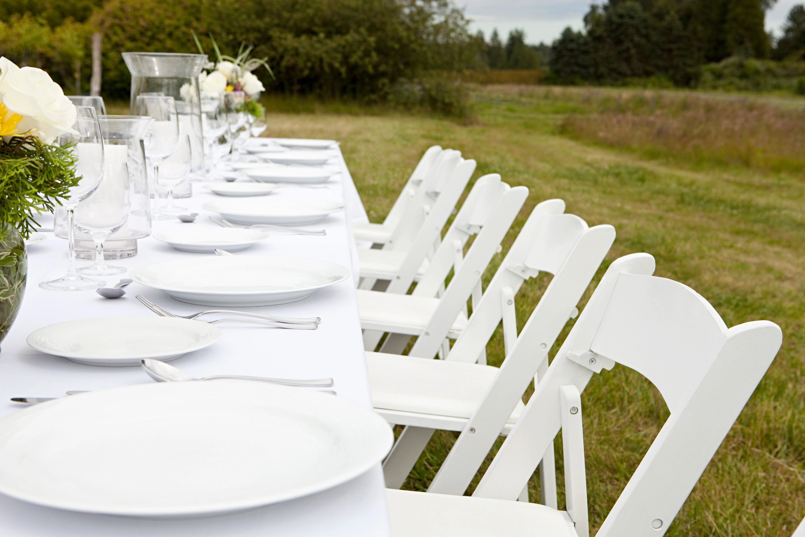 Elegant outdoor dining table setup in a grassy field.