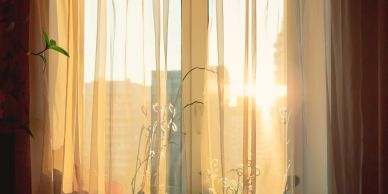 Sunlight filters through sheer curtains onto a cozy windowsill with plants.
