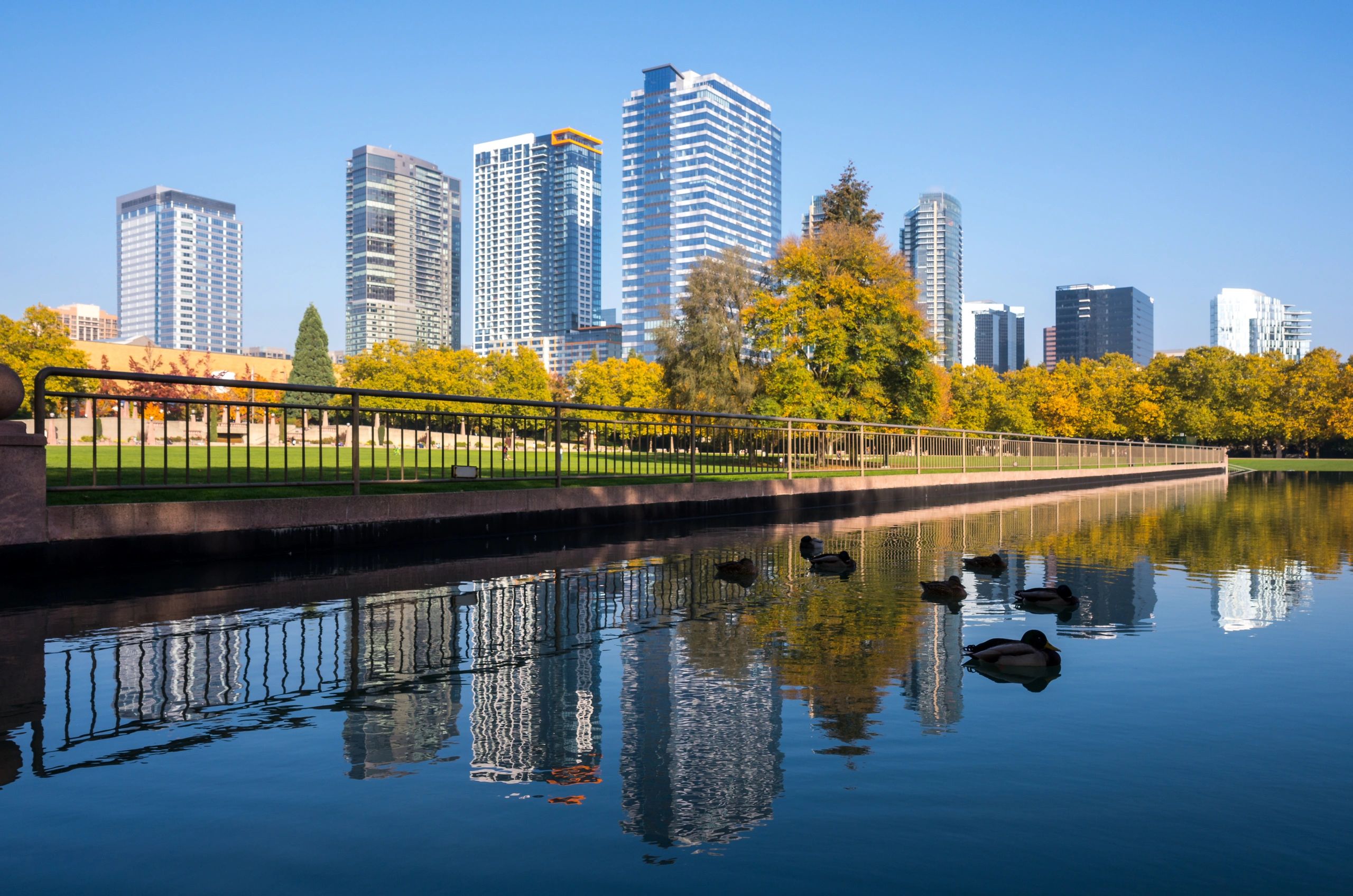Bellevue Park and downtown Bellevue with tall skyscrapers in the distance.