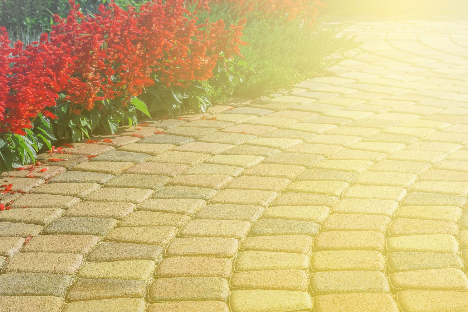 Curved stone pathway with red flowers on the side in bright sunlight.